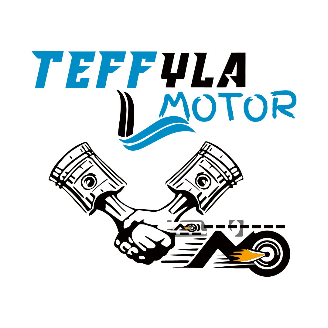 TEFFYLA MOTOR Logo